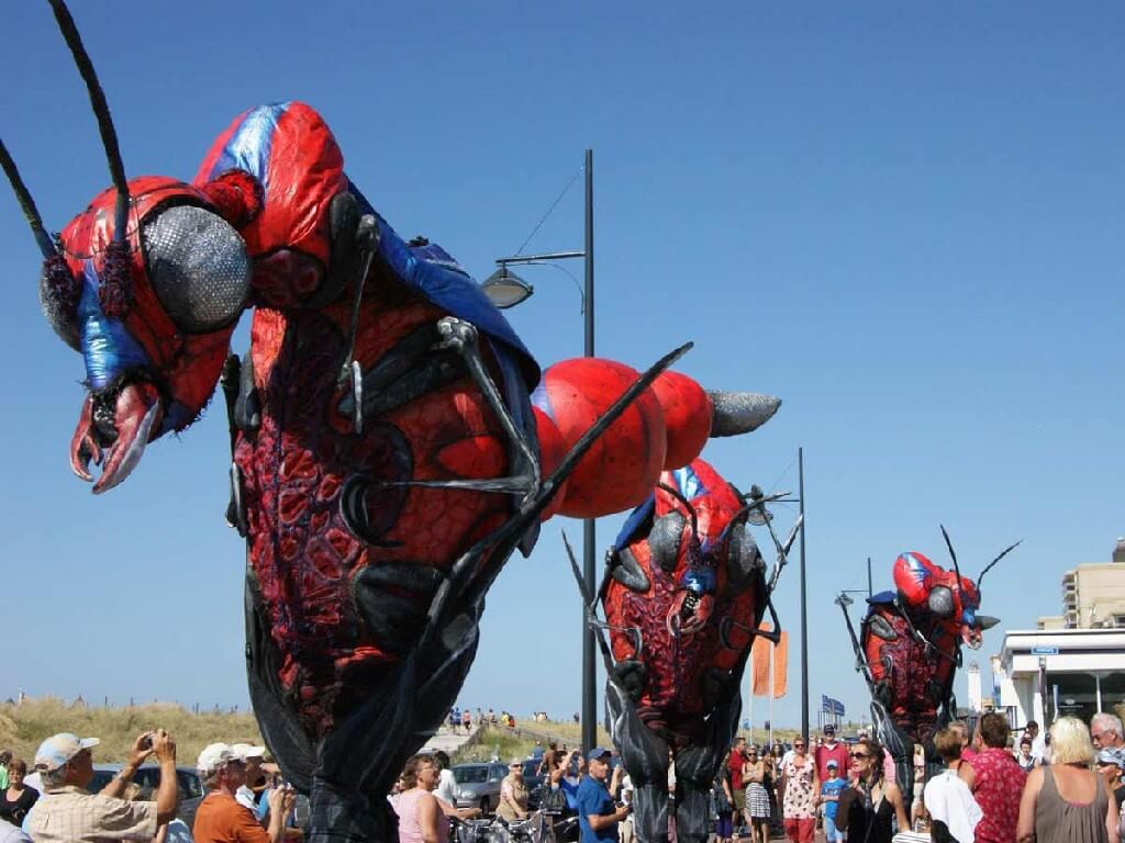 XL-Insect